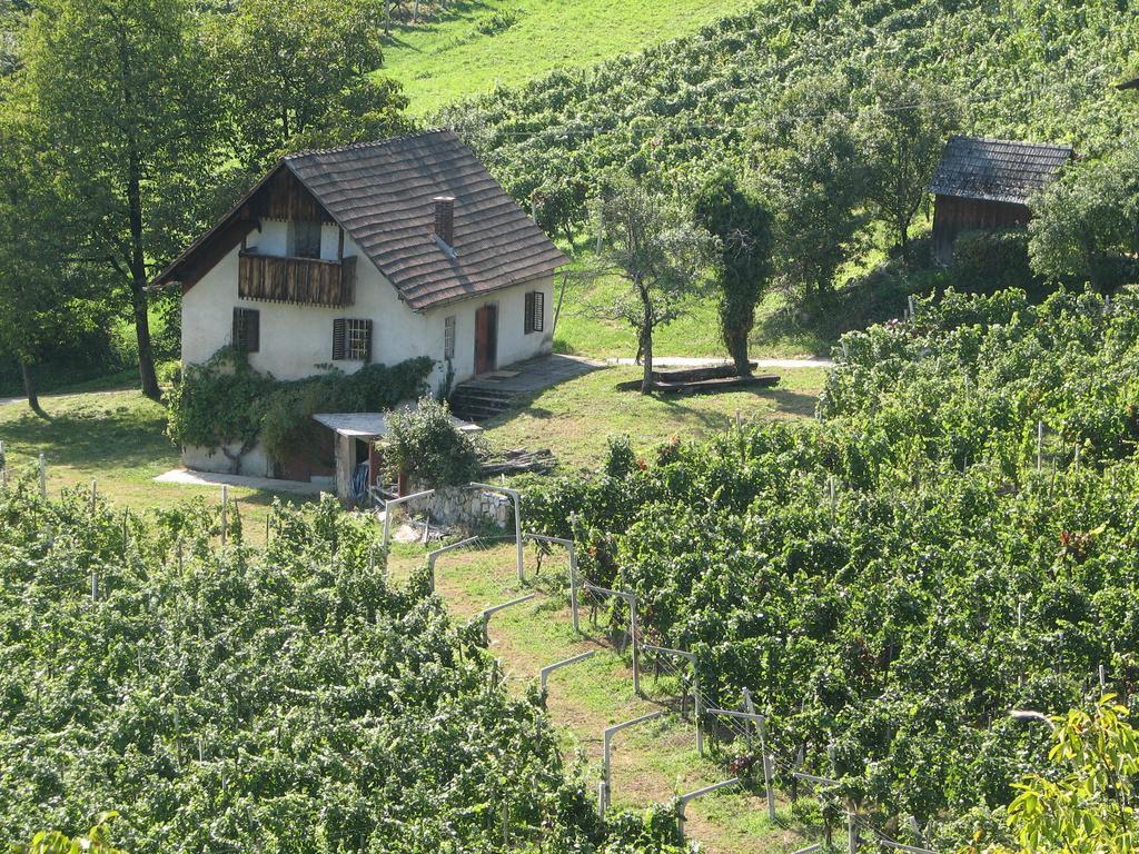 Guesthouse Zorko Gostilna Domen Smarjeske Toplice Buitenkant foto
