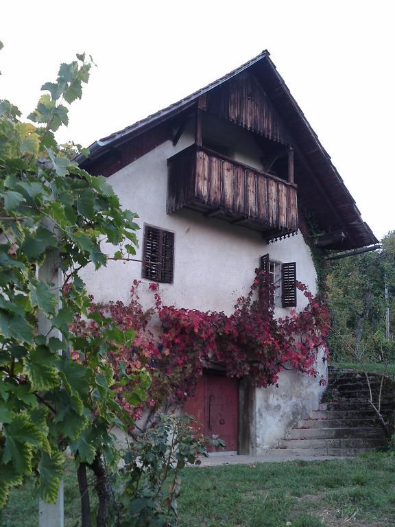 Guesthouse Zorko Gostilna Domen Smarjeske Toplice Buitenkant foto