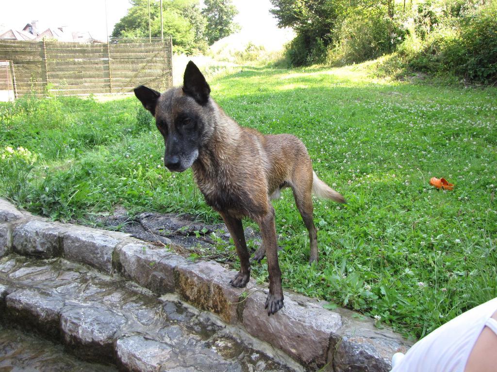 Guesthouse Zorko Gostilna Domen Smarjeske Toplice Buitenkant foto
