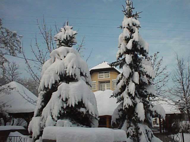 Guesthouse Zorko Gostilna Domen Smarjeske Toplice Buitenkant foto