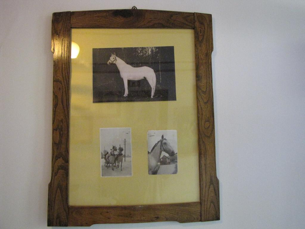 Guesthouse Zorko Gostilna Domen Smarjeske Toplice Buitenkant foto