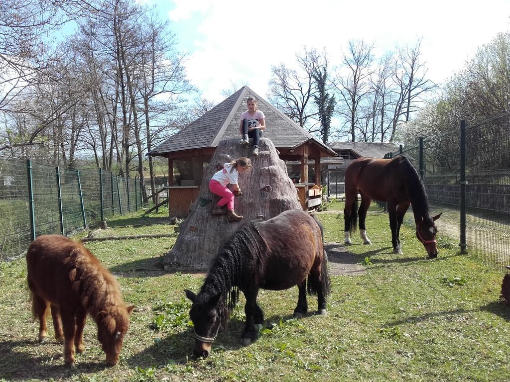 Guesthouse Zorko Gostilna Domen Smarjeske Toplice Buitenkant foto